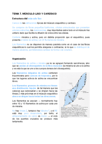 TEMA-7.pdf