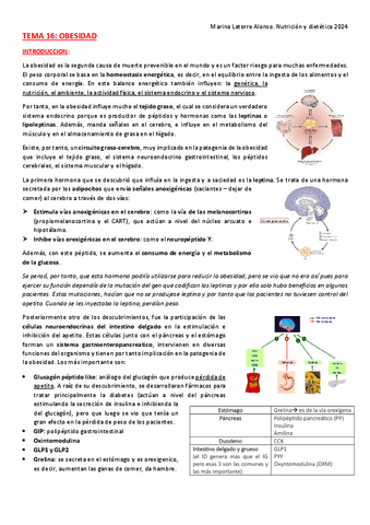 TEMA-16-obesidad.pdf