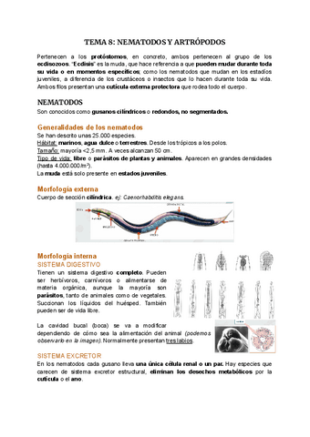 TEMA 8-Nematodos y artrópodos.pdf