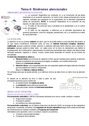 Apuntes-neuropsicologia-TEMA-4.pdf