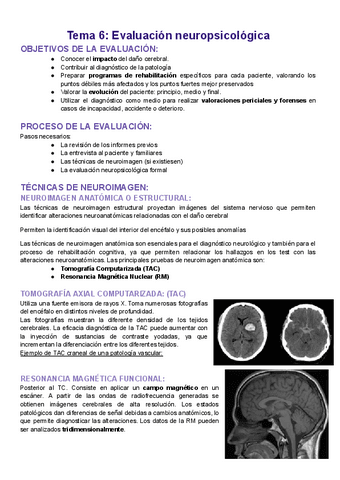 Apuntes-neuropsicologia-TEMA-6.pdf