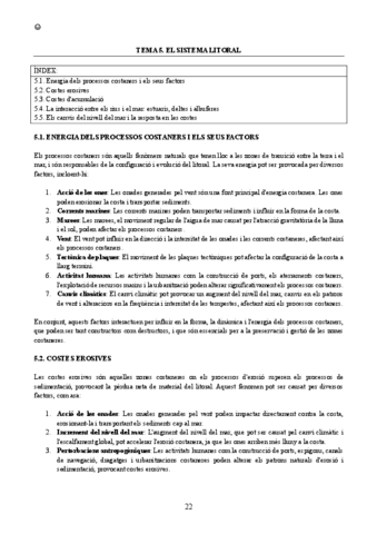 TEMA-5.pdf