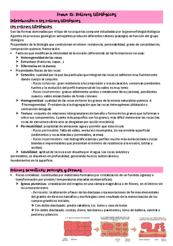 Tema-15-Relieves-litologicos.pdf