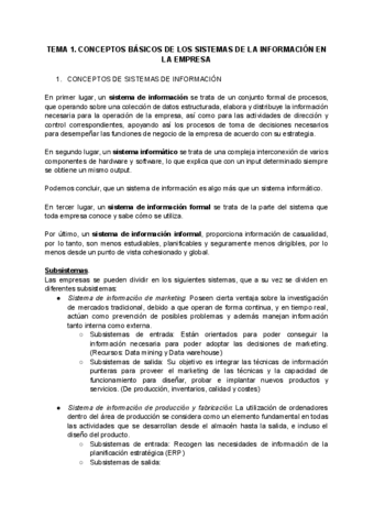 TEMA-1.-CONCEPTOS-BASICOS-DE-LOS-SISTEMAS-DE-LA-INFORMACION-EN-LA-EMPRESA.pdf