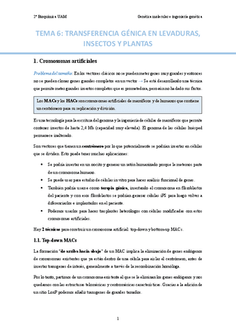 TEMA-6.-Transferencia-genica-en-levaduras-insectos-y-plantas..pdf