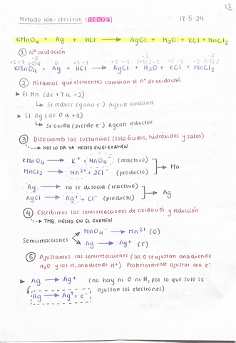 REDOX-Metodo-Ion-Electron.pdf