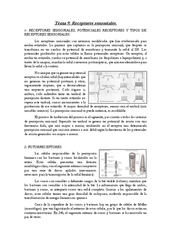 Tema-9-Neuroquimica.pdf