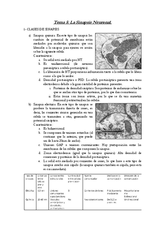 Tema-5-Neuroquimica.pdf