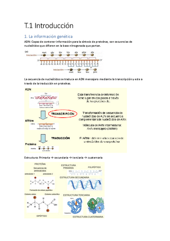 PARCIAL-1-BIOTECNOLOGIA.pdf