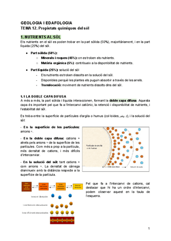 TEMA 12. Propietats quÍmiques del sòl.pdf