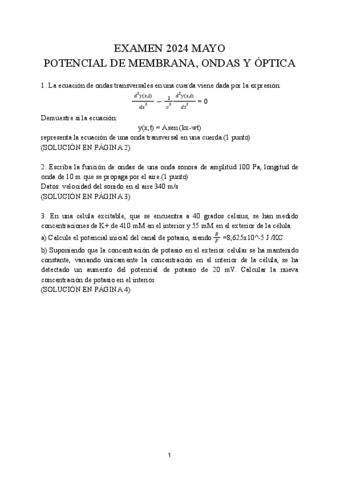 EXAMEN-RESUELTO-2024-MAYO.pdf