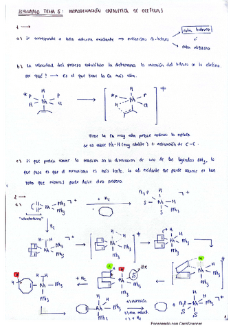 EJERCICIOS-T.5-hidrogenacion.pdf
