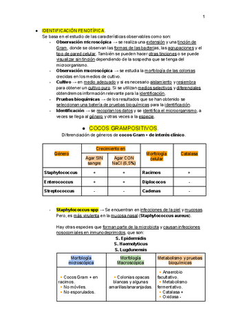 TEMA-6-Identificacion-fenotipica-de-las-bacterias-Grado-Superior-Laboratorio-Microbiologia.pdf