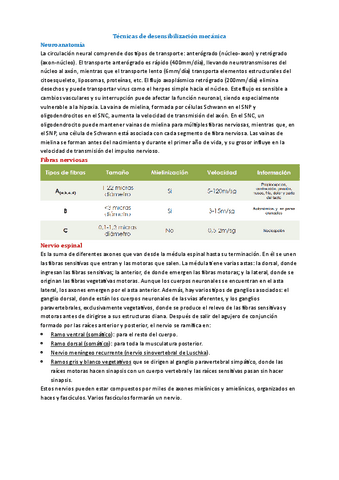 Tema-10-Met-Neuro.pdf