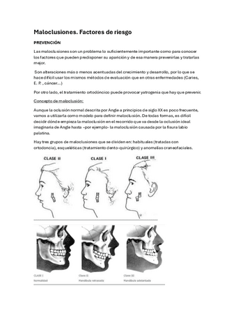 PREVENTIVA-T8.pdf