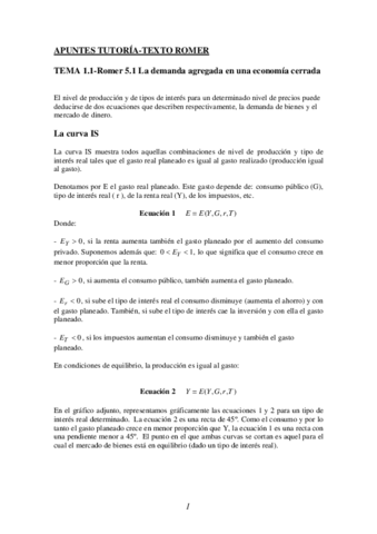 Apuntes-Tutoría-Romer-Temas-1-7.pdf