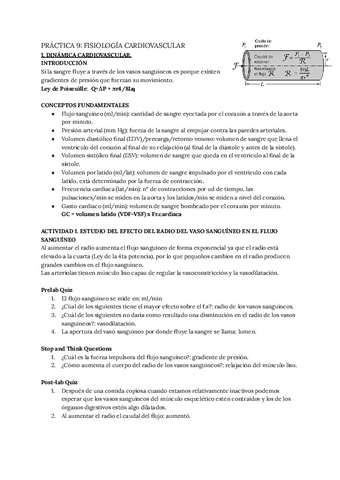 PRACTICAS-9-12.pdf