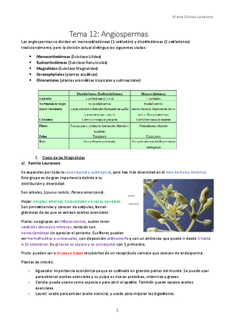 Tema-12-Angiospermas.pdf