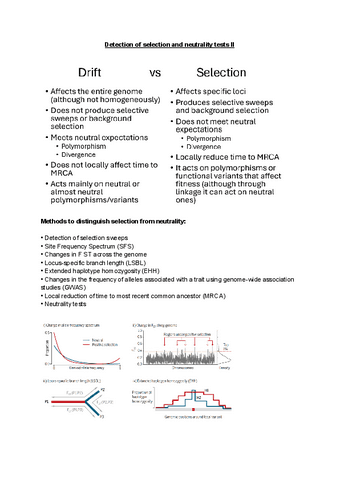 T2.3-AM.pdf