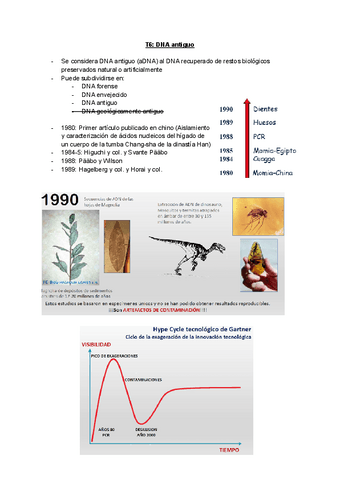 T6-DNA-antiguo.pdf