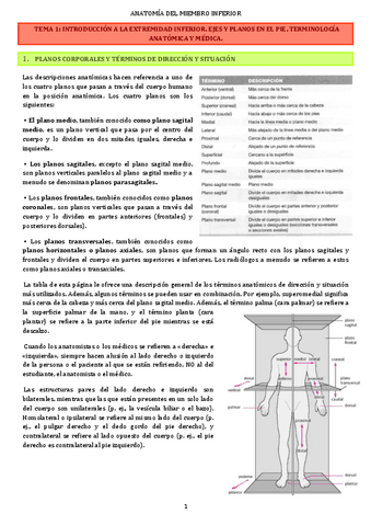 temario-anatomia-musculos-articulaciones-y-ligamentos.pdf