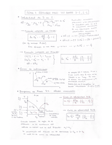 TEMA-7.-EQUILIBRIO-FASES.-SISTEMA-BINARIO.-S-L-L-L.pdf