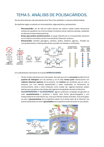Tema-5.-analisis-de-polisacaridos.pdf