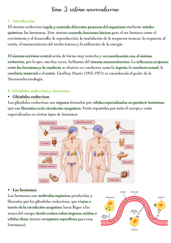 tema-4.pdf