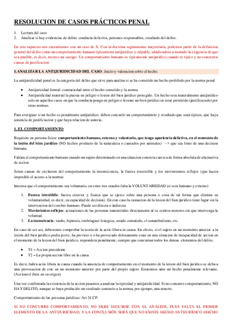 RESUMEN-GUIA-CASOS-PRACTICOS.pdf
