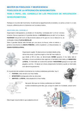 Tema 5 NIS.pdf