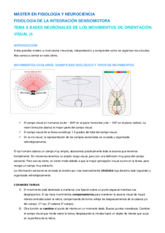 Tema 6 NIS.pdf