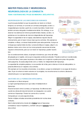 Tema 4 NBC Fernando.pdf