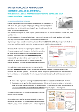 Tema 5 NBC Antonia.pdf