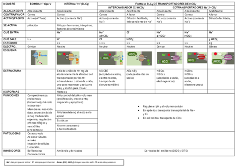 Cuadro Tema 5 LFMC.pdf