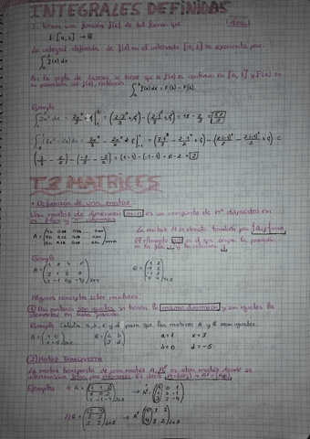T.3-Matrices-T.4-Programacion-lineal..pdf