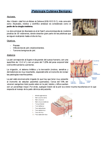 1.-Piel-y-Heridas.pdf