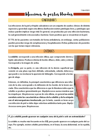 8.-Infecciones-de-Partes-Blandas.pdf