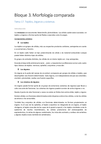 Bloque 3 ROM.pdf