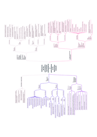 T.-6-ESQUEMA.pdf