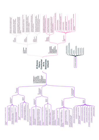 T.-11-ESQUEMA.pdf