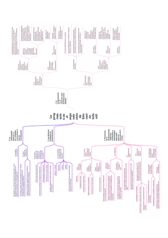 T.14-ESQUEMA.pdf