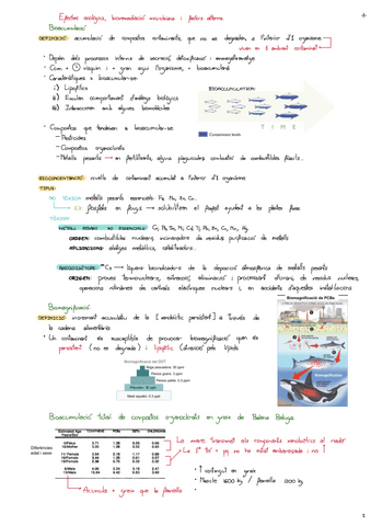 2.Efectes-Ecologics-Biorremediacio-Microbiana-I-Factors-Alterns.pdf