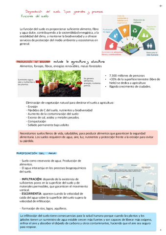 Tema-1-.pdf