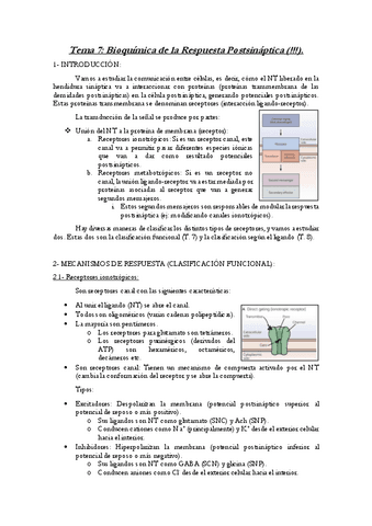 Tema-7-Neuroquimica.pdf