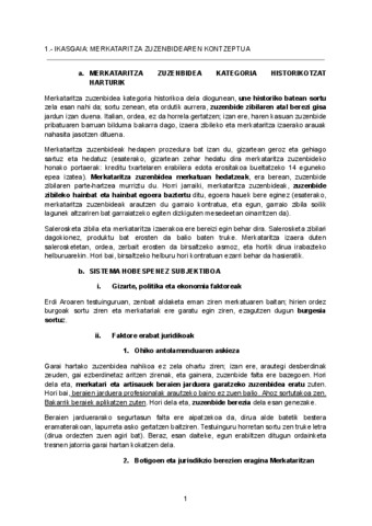 Mercantil-joseba-josu.pdf