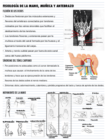 LA-MANO.pdf