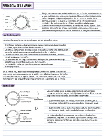 LA-VISION.pdf