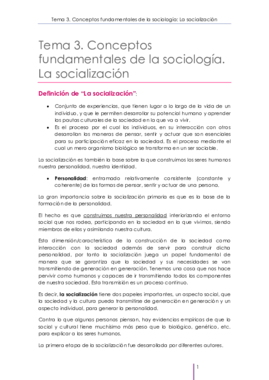 Tema 3.pdf