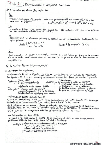 Tema-11.pdf