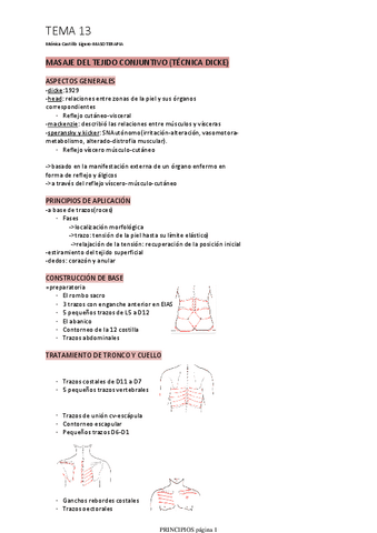 TEMA-13.pdf